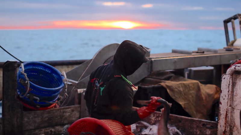 Docufilm stars local fishermen, chefs